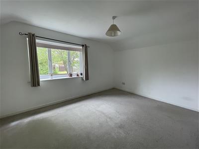 Picture 24